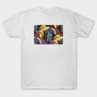 Aries / Swiss Artwork Photography T-Shirt